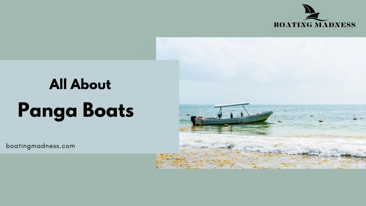 All About Panga Boats Detailed Guide