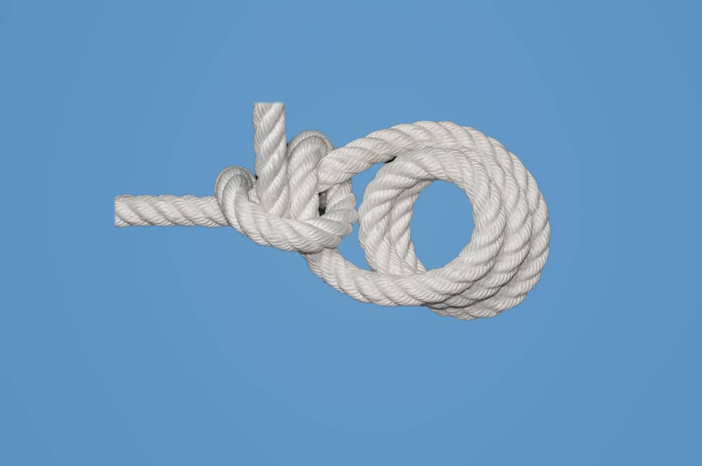 The Rolling Hitch or Magnus knot on a blue background