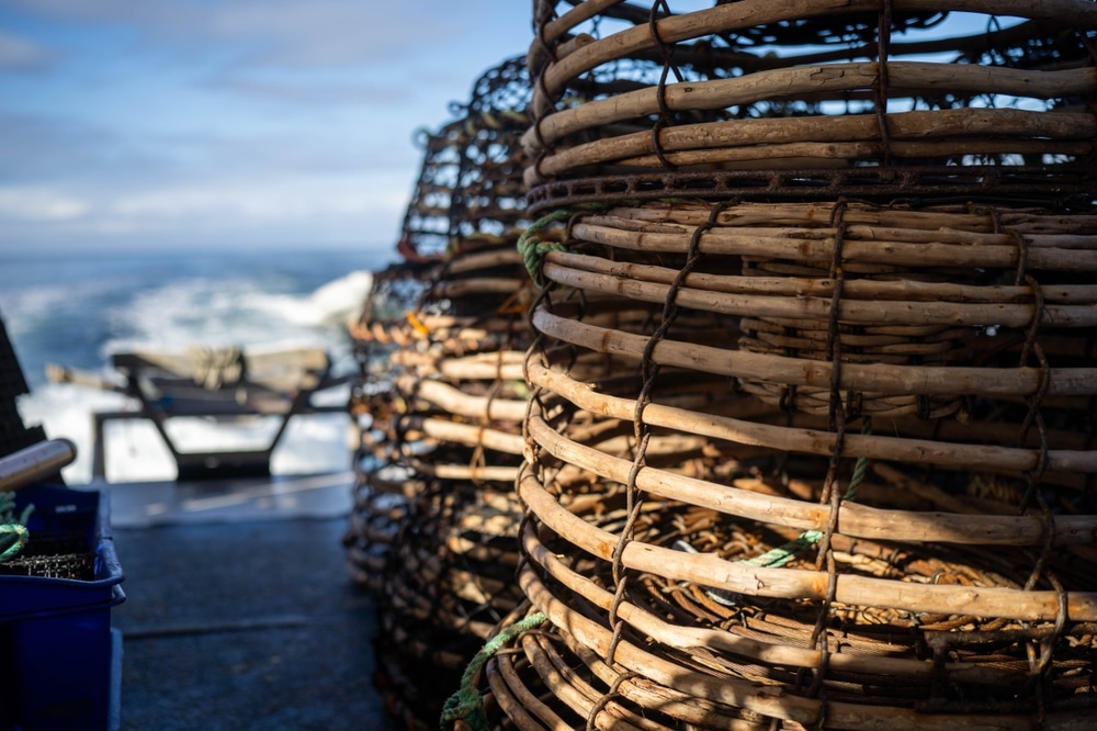 Crayfish Pots Trap On A Fishing Boat Out At Sea