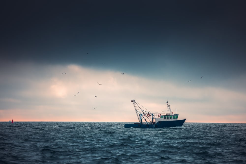 A view of a fishing boat in sea