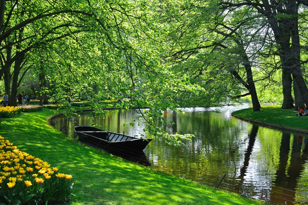 A view of a boat with greenery and lake around