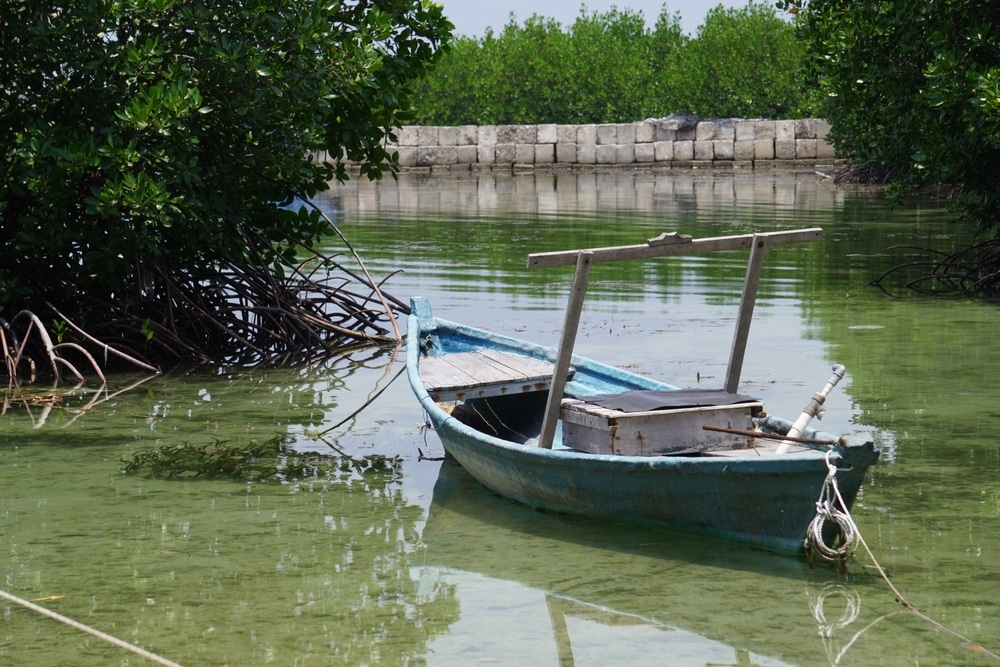 A view of a shallow river boat parked